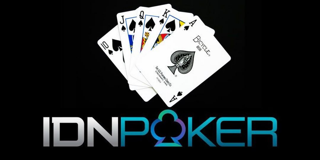 khám phá vài thông tin chung về idn poker