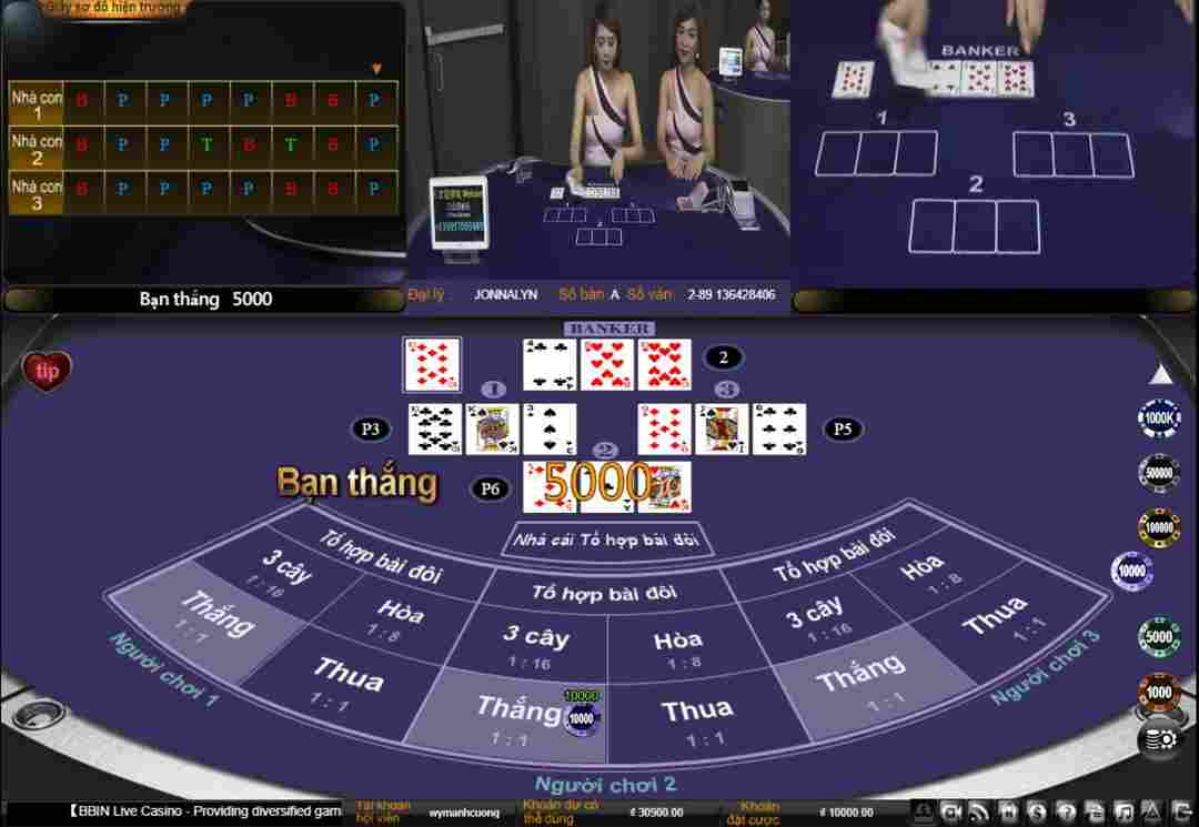 casino và thể thao là lĩnh vực chính