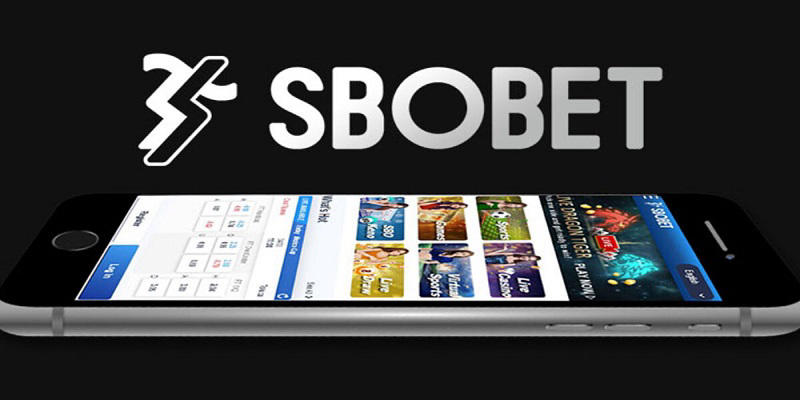 Hướng dẫn tải app Sbobet dành cho người mới